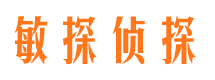 白朗侦探公司